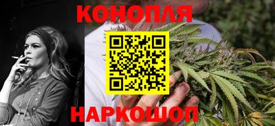 сатива Малгобек