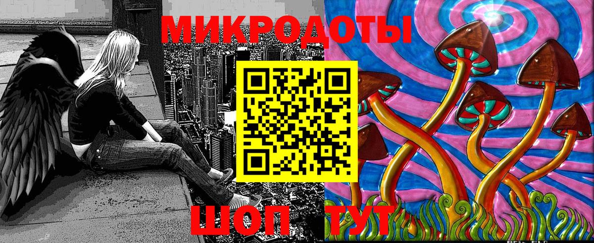 Россия  Галлюциногенные грибы Cubensis  Вход с VPN  Псилоцибиновые грибы GOLDEN TEACHER 